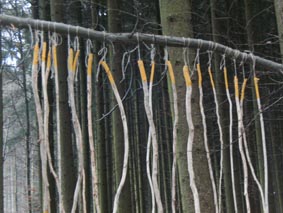 Klangbogen